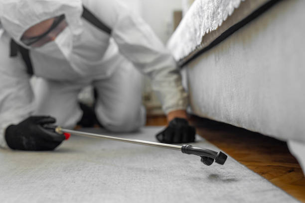 Professional Bed Bug Control technician working in Bartonville, IL