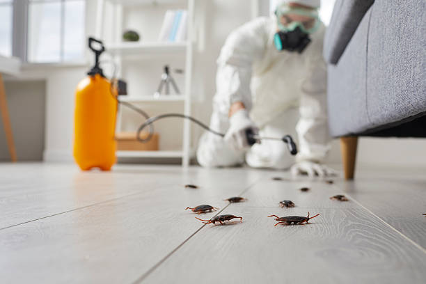 Trusted Rodent Control service in Bartonville, IL - Nex Pest Control