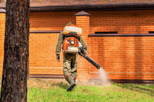 Trusted Termite Control service in Bartonville, IL - Nex Pest Control